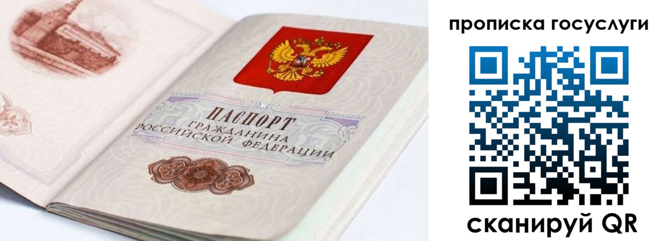 прописка гарантия в Кохме